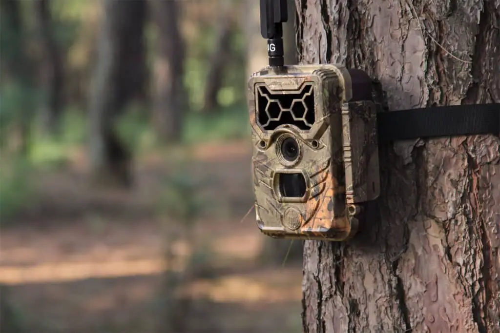 What Is The Best Cellular Trail Camera