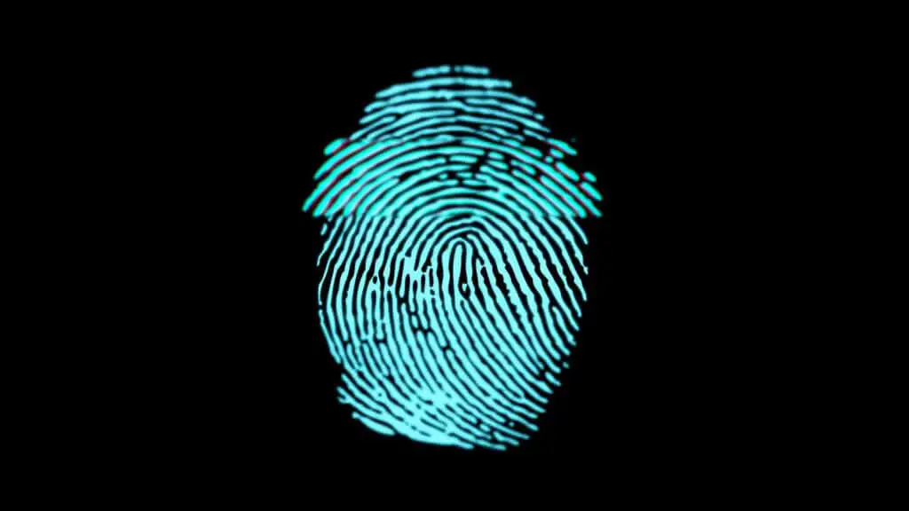 How Is A Fingerprint Formed