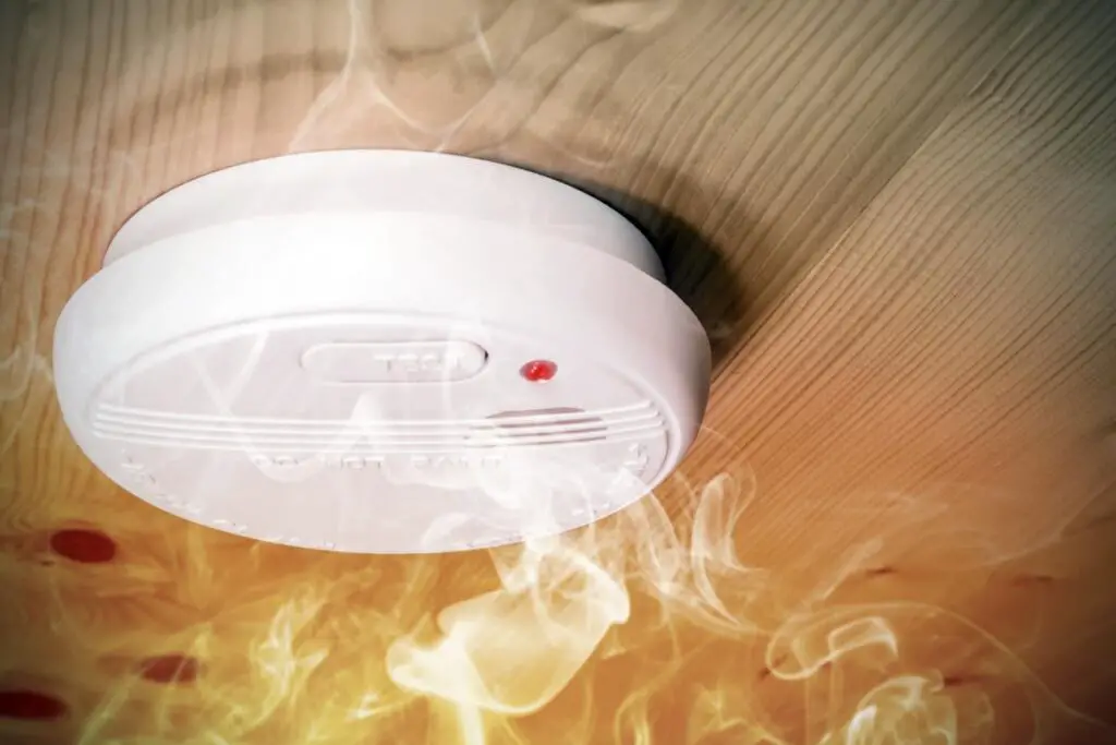 Can Mold Set Off A Carbon Monoxide Detector