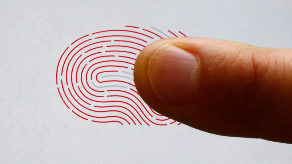 How Long Does Fingerprinting Take