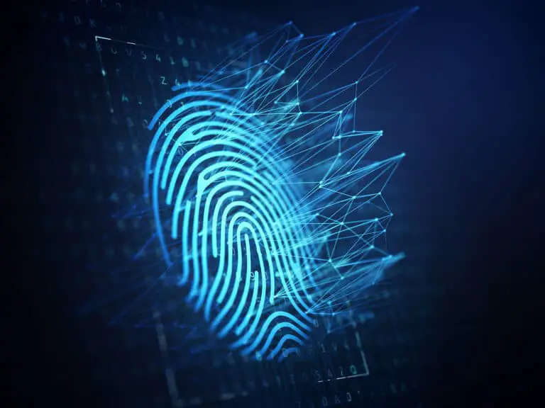 What Is The Most Common Fingerprint Pattern