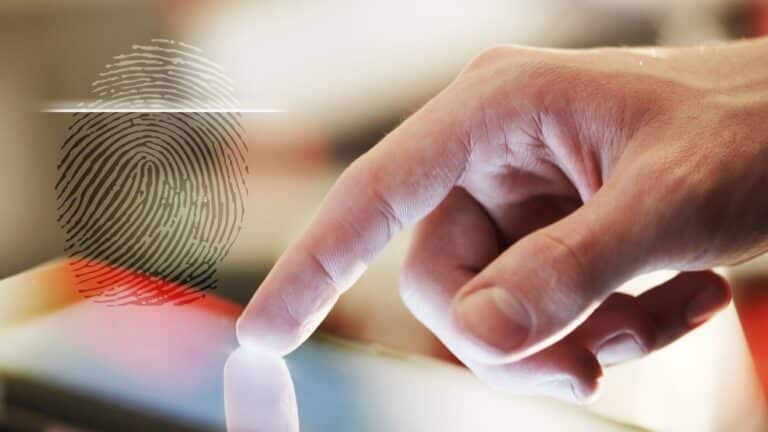 How Is A Fingerprint Formed